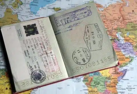  Pasaport Tercümesi