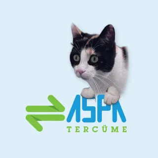 Aspa Tercüme ofis maskotu Nokta